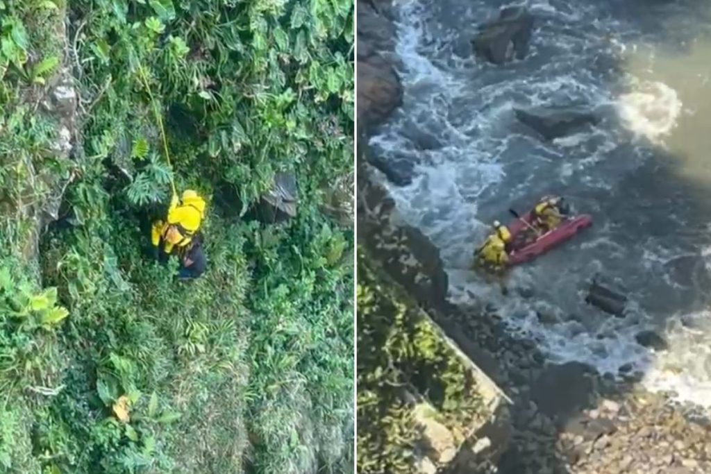 Homem escapa de abelhas pulando de precipício em São Vicente