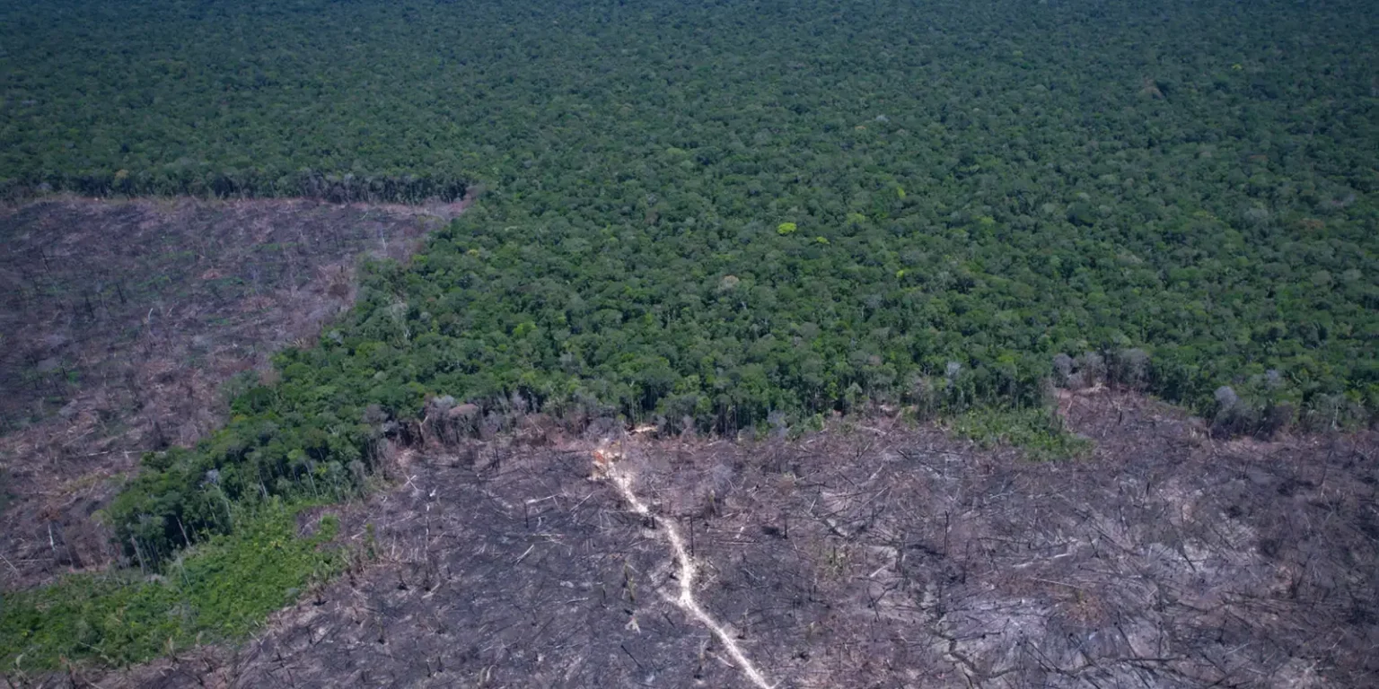 Brasil e ONU aceleram soluções contra desmatamento e combustíveis fósseis