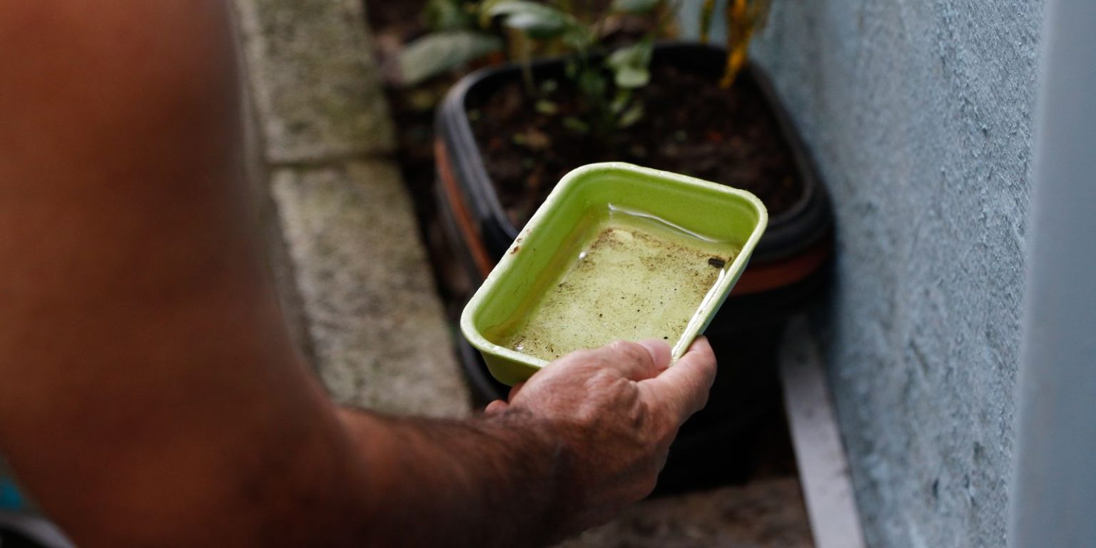 El Niño eleva alerta para dengue e chikungunya no Brasil